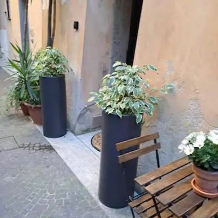 Apartment The Burgundy Nest Campo De' Fiori